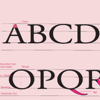 typography
